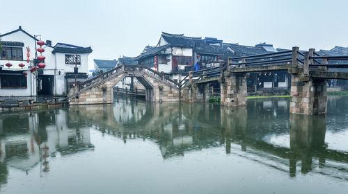 僵尸跳跳跳